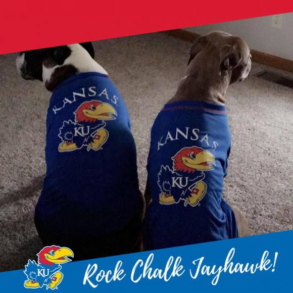 Meet your Posher, Jared - Picture 1 of 1